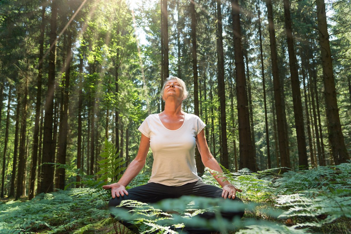 What is forest bathing? Discover 6 key health benefits