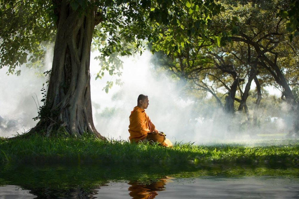 the-hearth-of-buddhism-tree.jpg